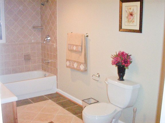 Basement Bathroom