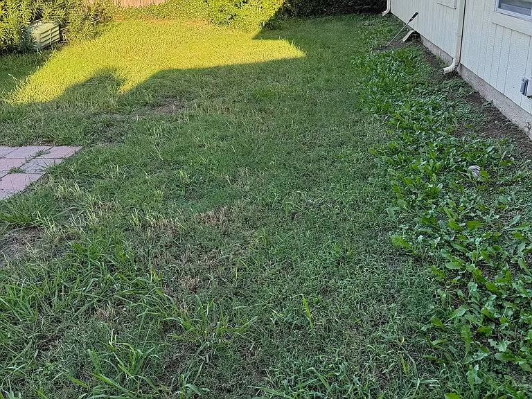 209 Colt Ln — Photo 11