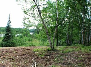 52 Tract A & B County Rd, Bigfork, MN 56628