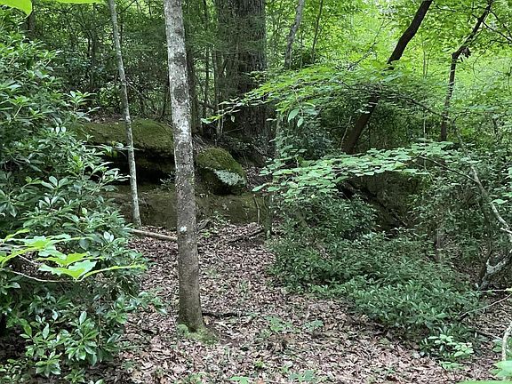 2nd image of 0 Harv Loop Lot 17