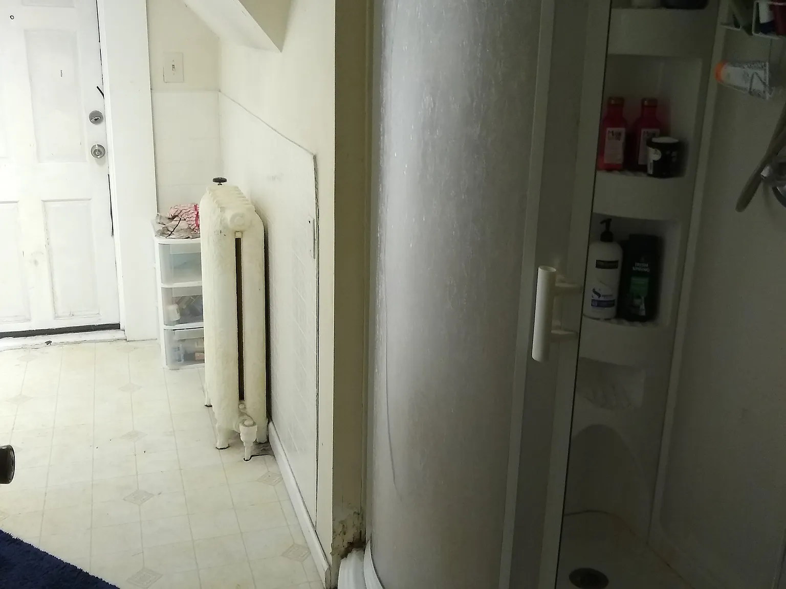 3 bed, 1000 sqft, $600 — Photo 4