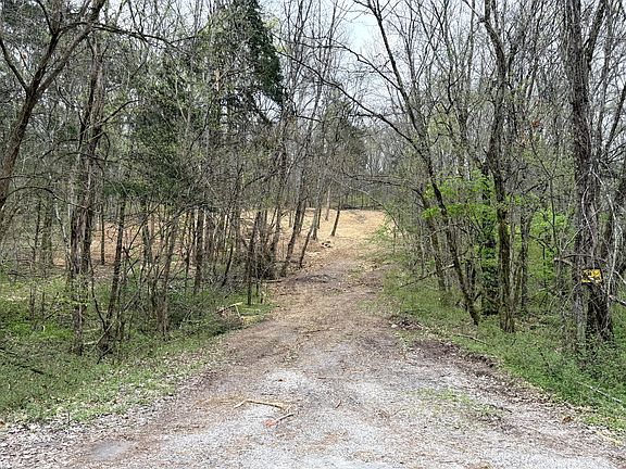 2nd image of 0 Saddle Ln