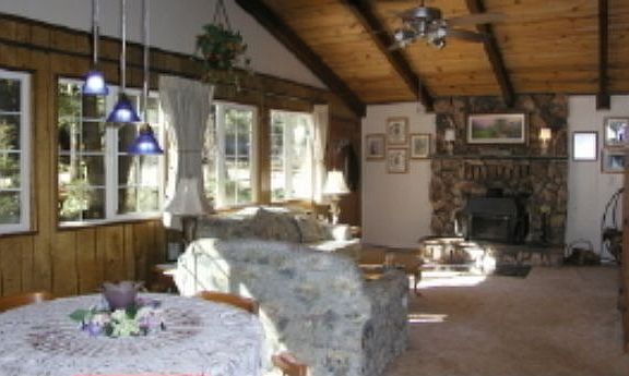 living room with fire place