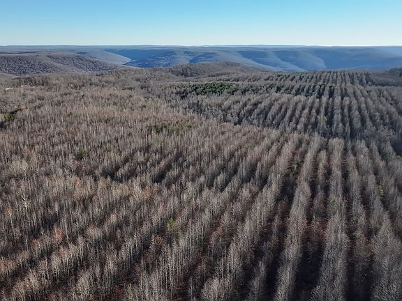 5th image of 0 Lewis Rd.