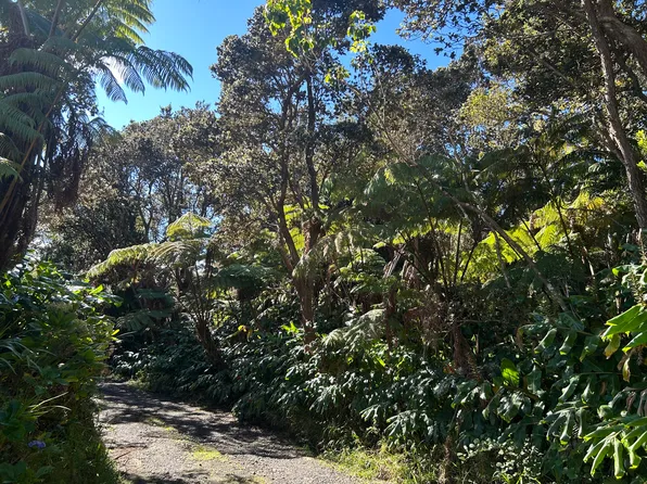 Ainahau Rd Lot 21, Volcano, HI 96785