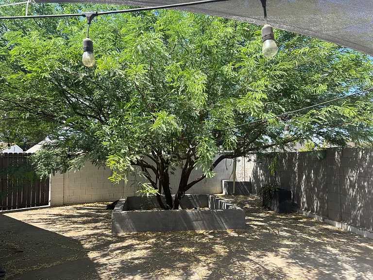 4701 E Palm Ln — Photo 12