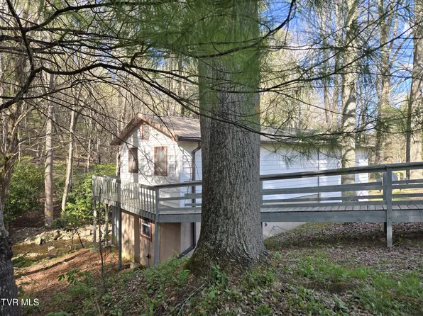 326 Cove Creek Rd, Roan Mountain, TN 37687