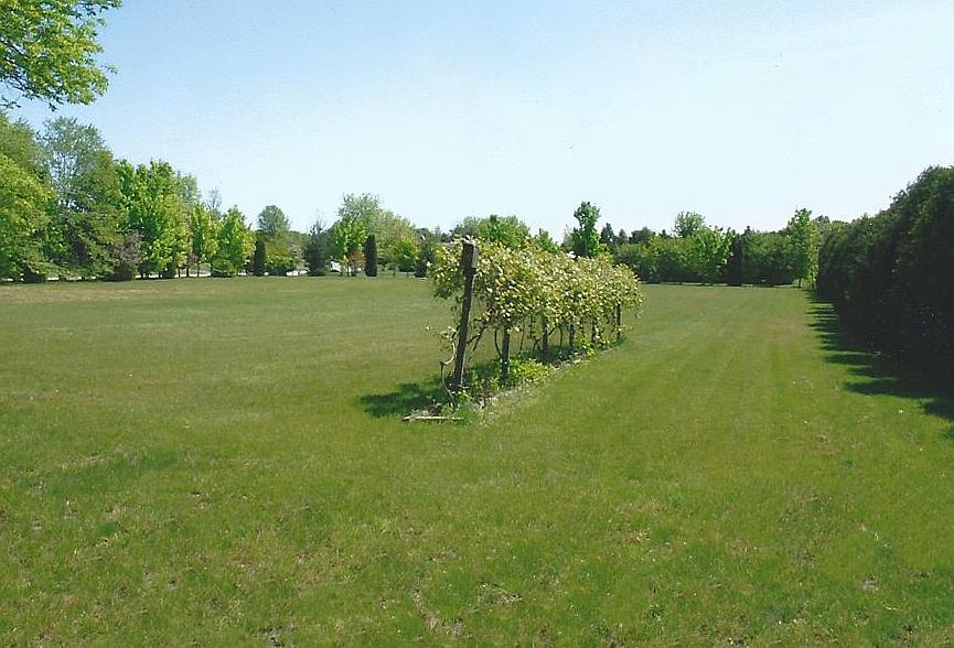 Optional Back Acre