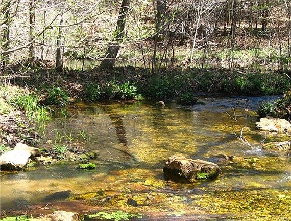 3rd image of 9640 Burgess Rd