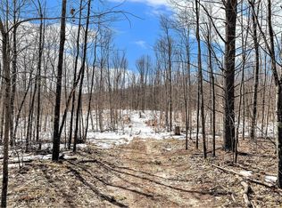 0 Indian Hill Rd, Honor, MI 49640