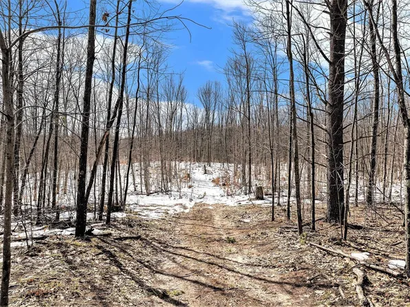 0 Indian Hill Rd, Honor, MI 49640
