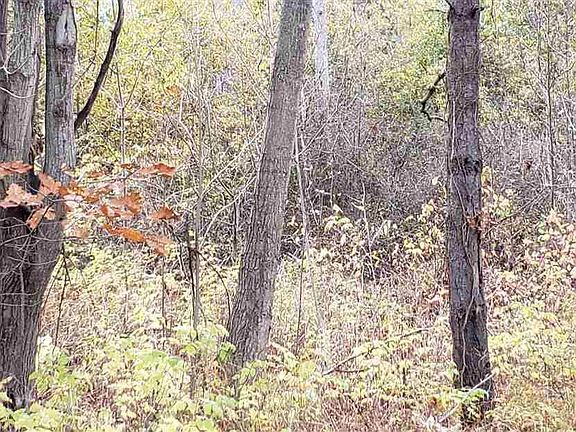 3rd image of 0 Ridge Rd