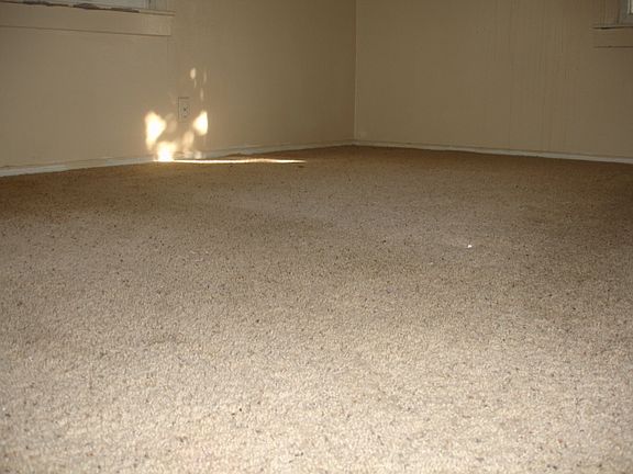4th image of 6906 Spruce Ave