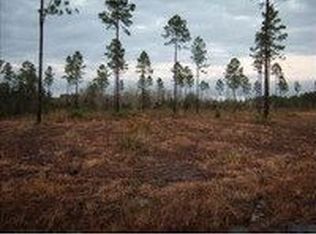 11 Bishop Ln, Nahunta, GA 31553