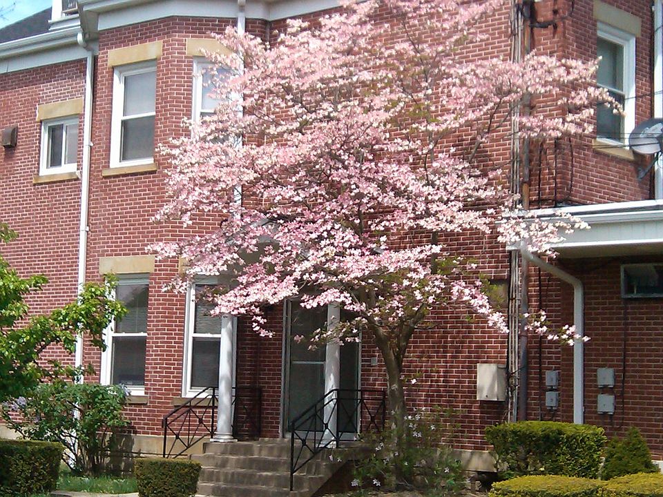 1st image of 713 Broad Ave APT 2