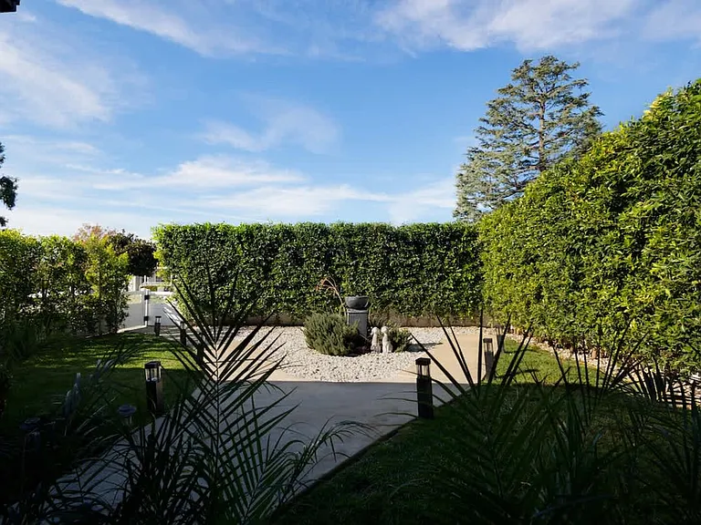 Shepherd Dr — Photo 6