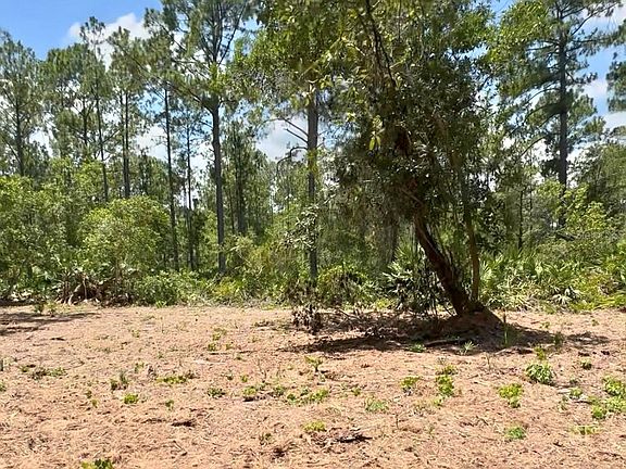 4th image of 434 Ranchette Rd