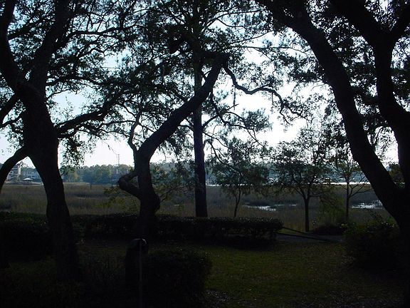 View towards marsh from porch