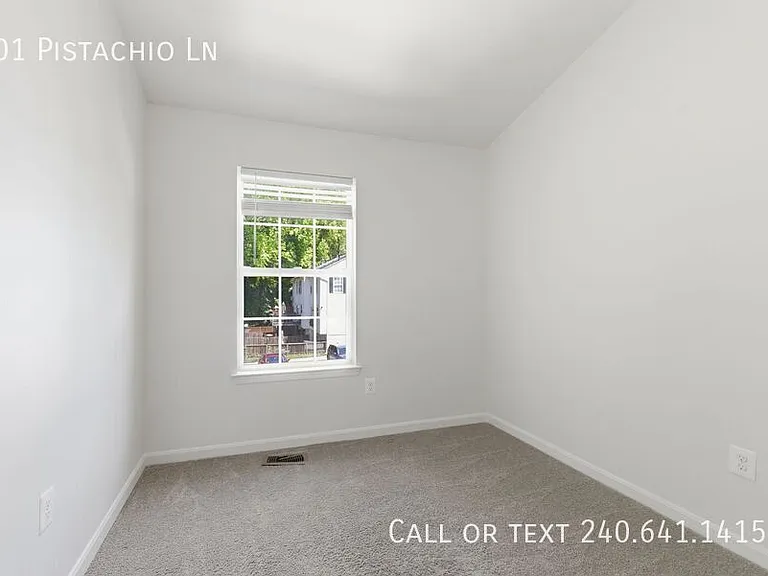 4601 Pistachio Ln — Photo 14