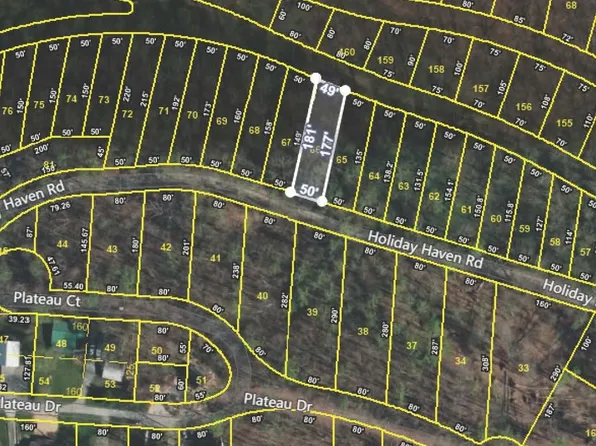 0 Holiday Haven Rd Lot 66, Smithville, TN 37166