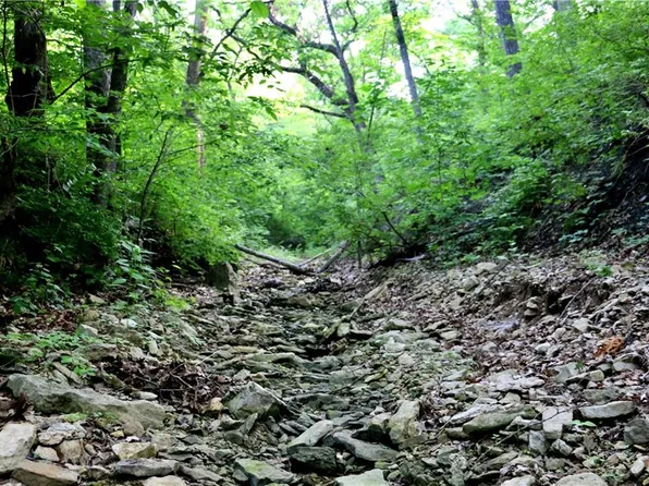 196 West St, Rayville, MO 64084