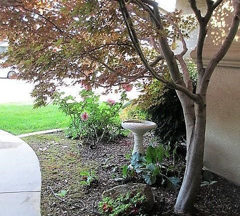 3rd image of 2146 Cartagena Dr