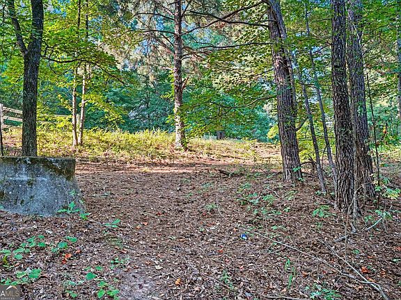 3rd image of 0 Locust Rd