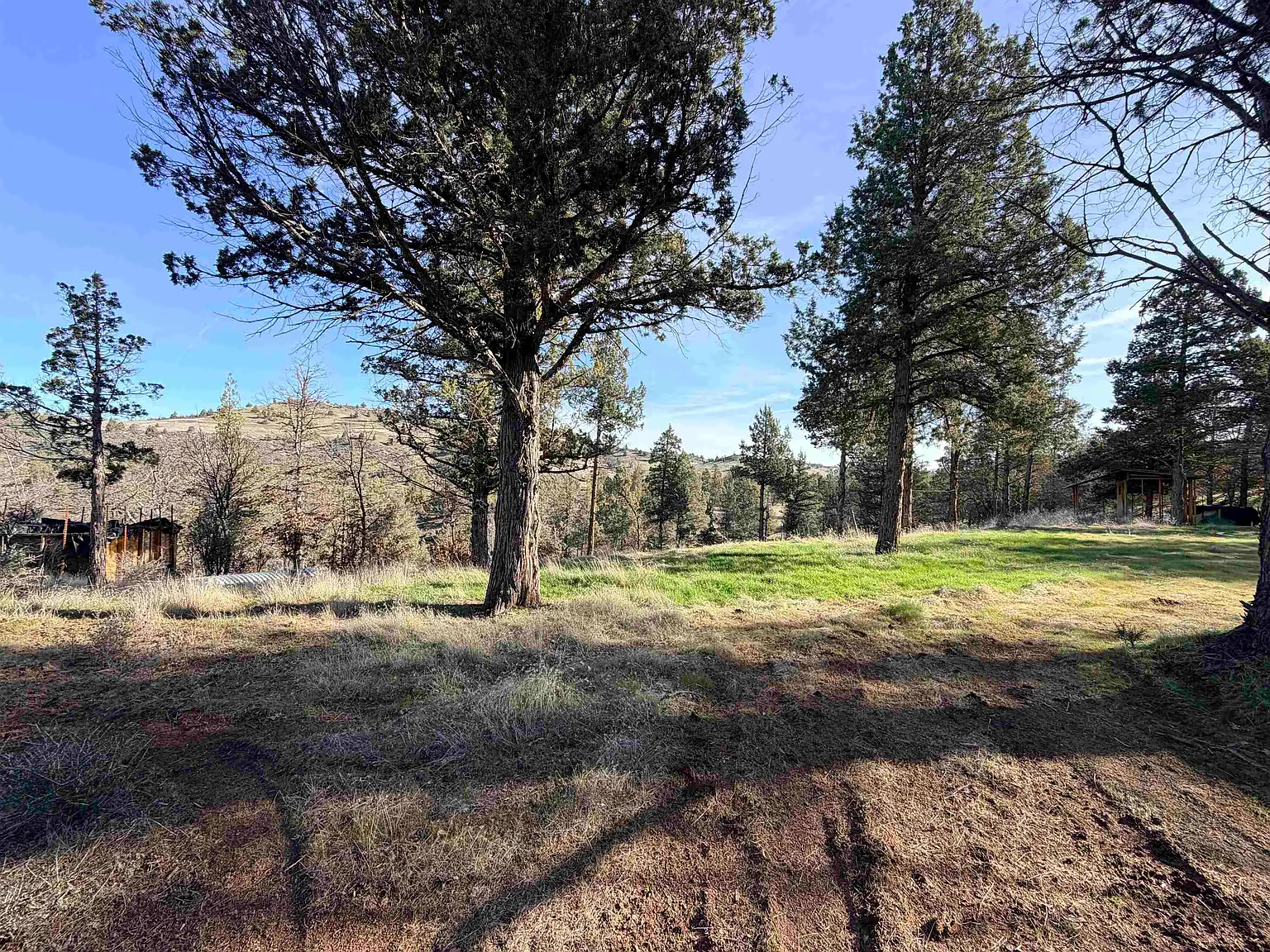 596 Dragon Dr photo 1