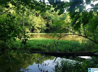 0 Divided Rd TRACT 9, Ragland, AL 35131