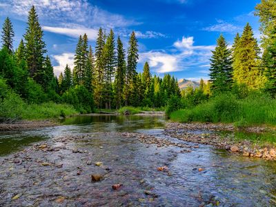 Nhn Styler, Condon, MT, 59826