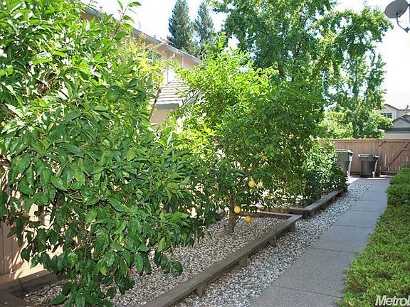 4th image of 11931 Silver Cliff Way