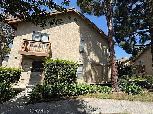102 Tangelo Photo 1