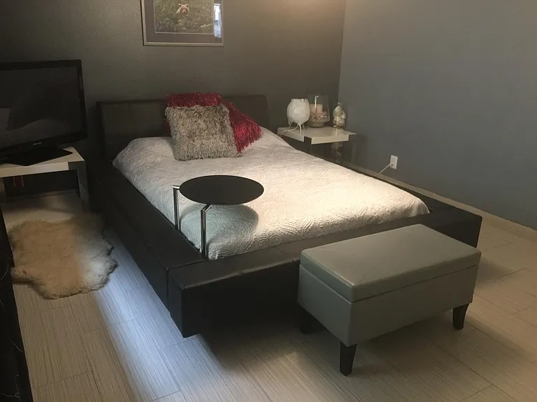 Double closets & tv