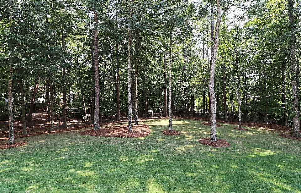 Large Level Backyard