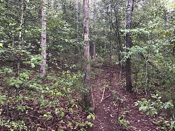 4th image of 0 Low Brace Rd