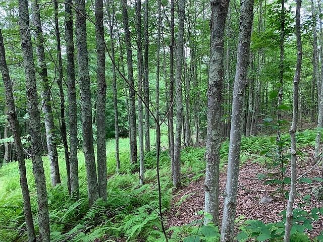 2nd image of Little Dingle Hill Rd