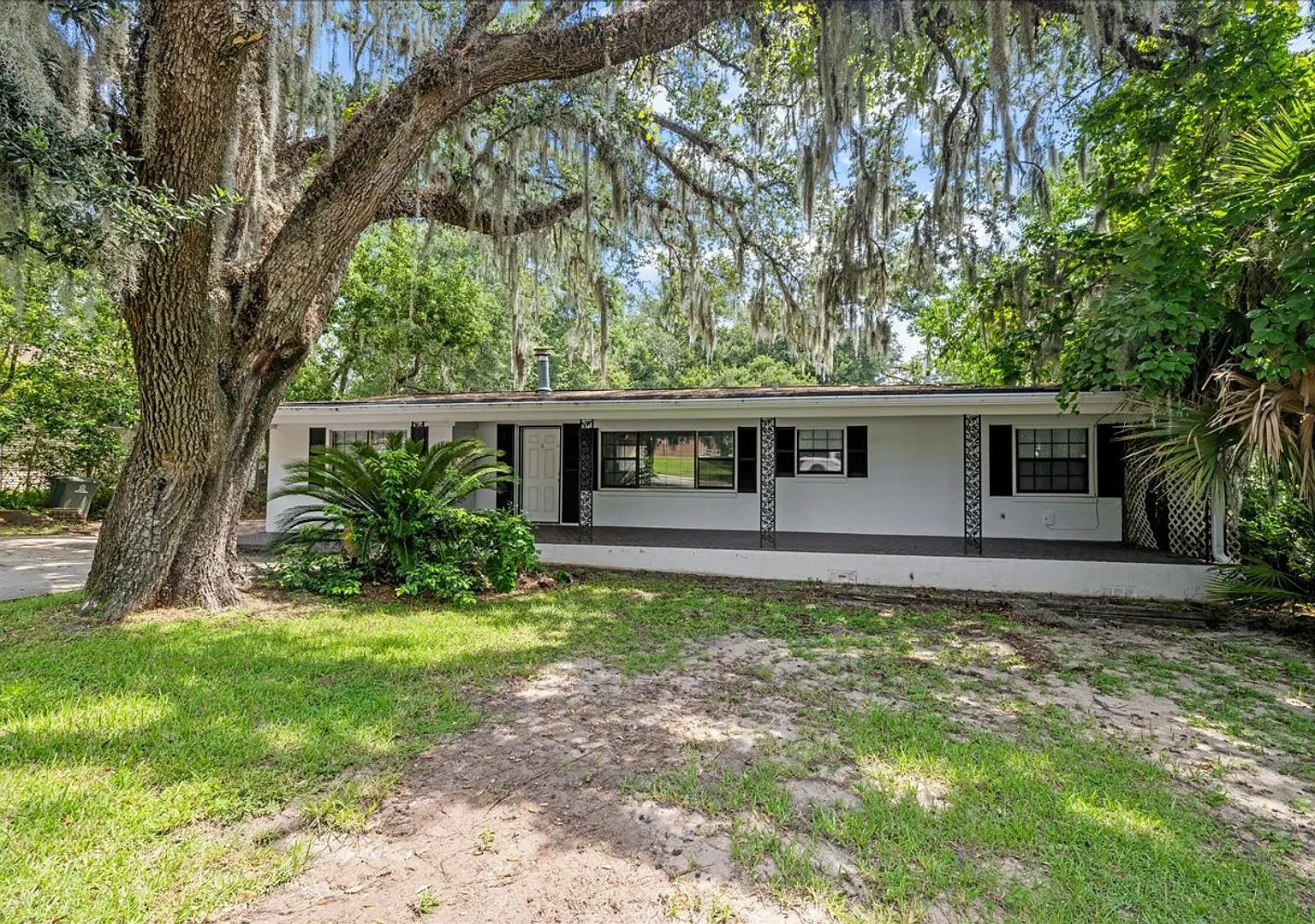 Large 4 Bedroom House with Backyard by FSU for August 2027!! — Photo 1