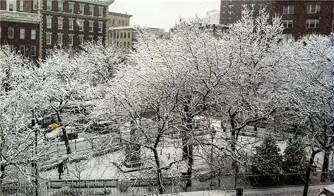 Sold by Maz Group NY | media 10