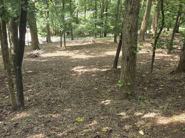 30 Floating Mill Vlg Lot 30, Silver Point, TN 38582