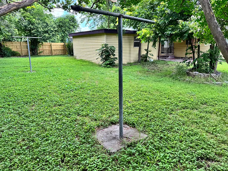 backyard