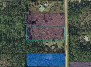 2166 Maple St, Bunnell, FL 32110