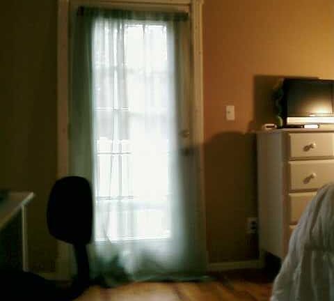 Backdoor to pool thru spare bedroom.