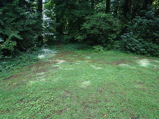 3rd image of 4800 NE 109th St
