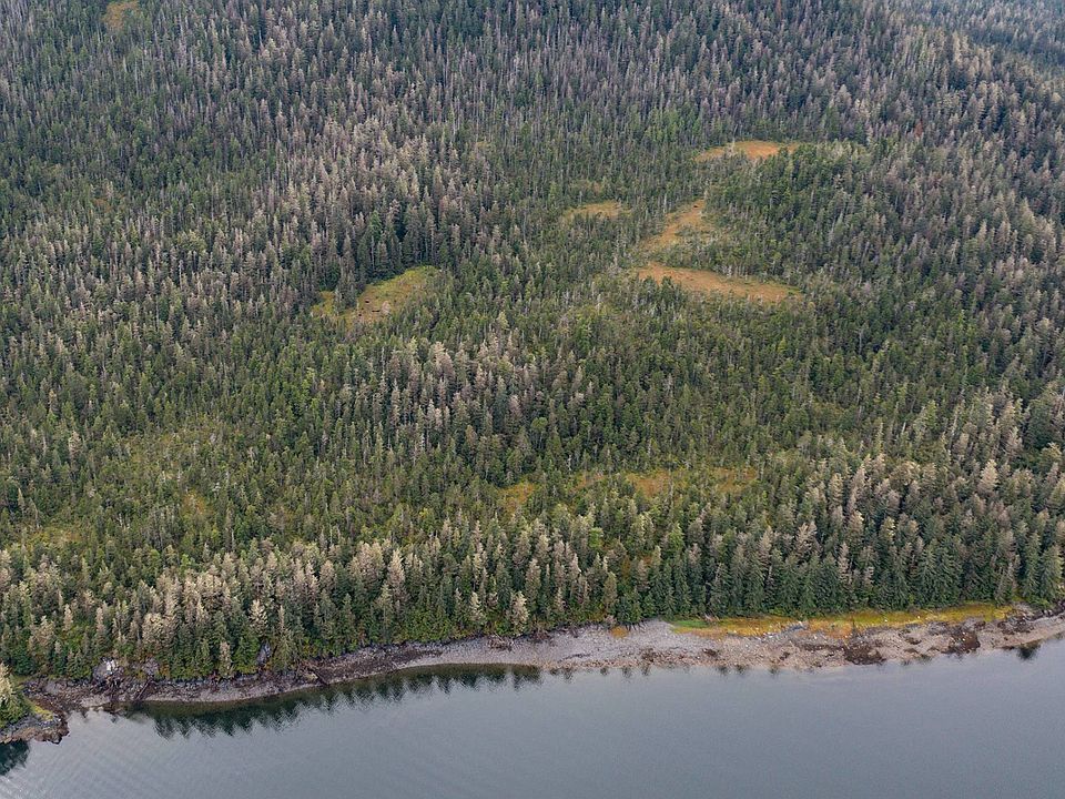 Fr Kupreanof Island Lot N Lot 3, Petersburg, Ak 99833 