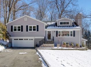 15 N Star Rd, Randolph, NJ 07869