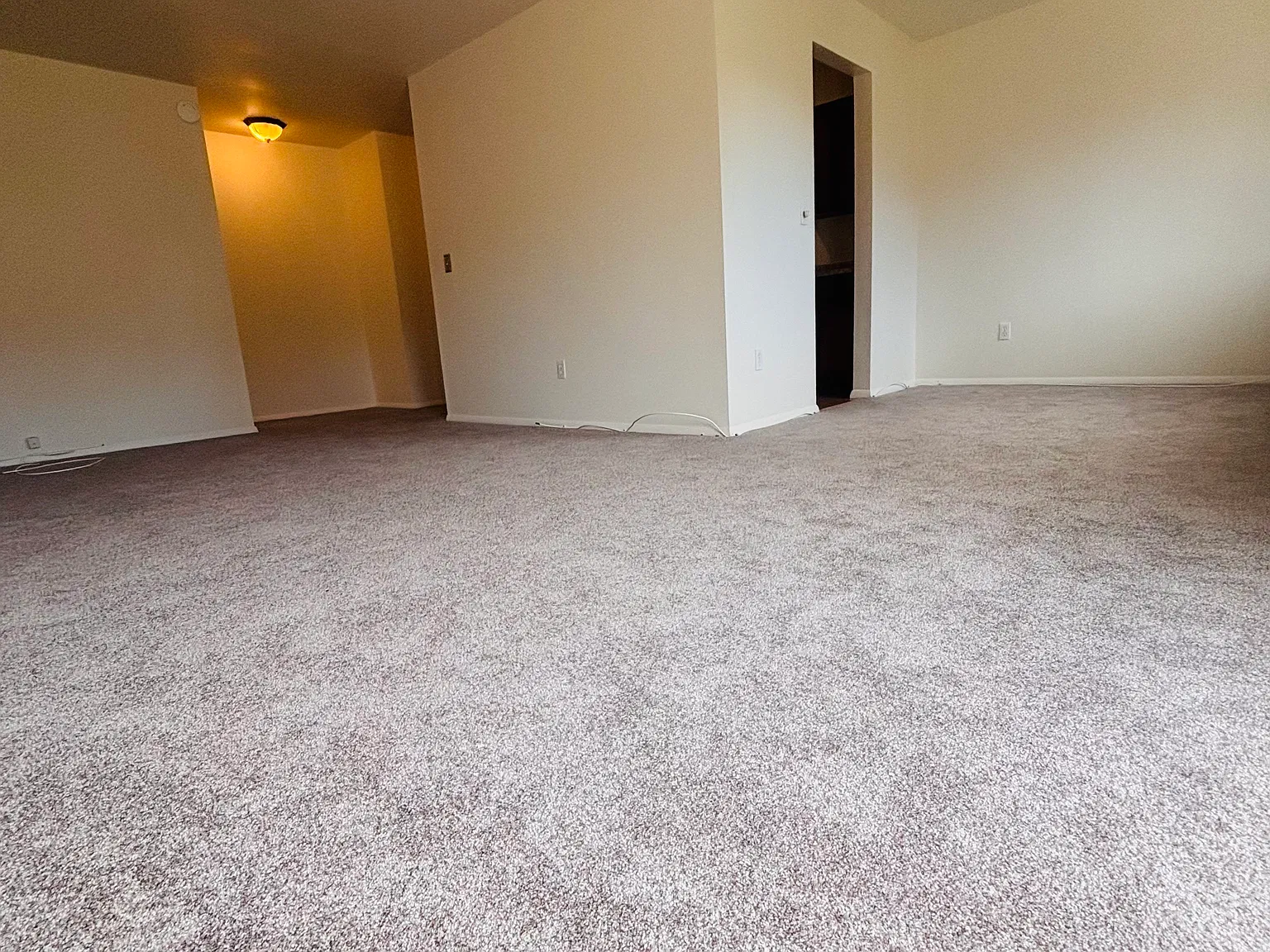 1 bed, 925 sqft, $1,750 — Photo 4