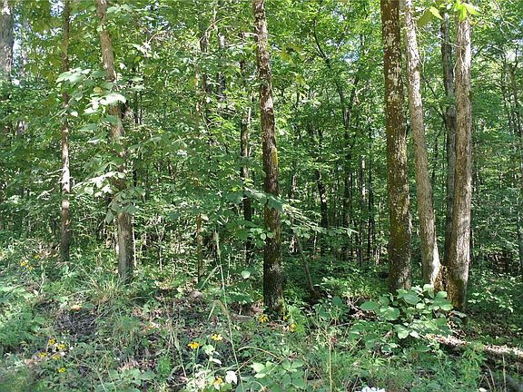 4th image of 0 County Road 425