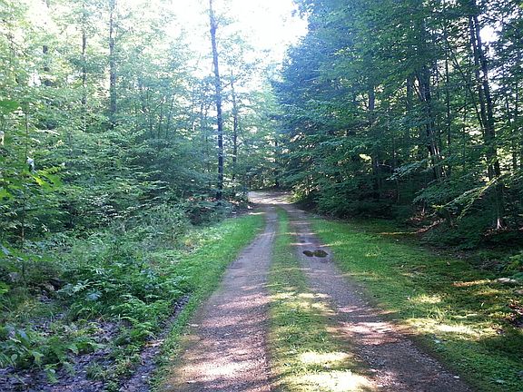 wtr access entry