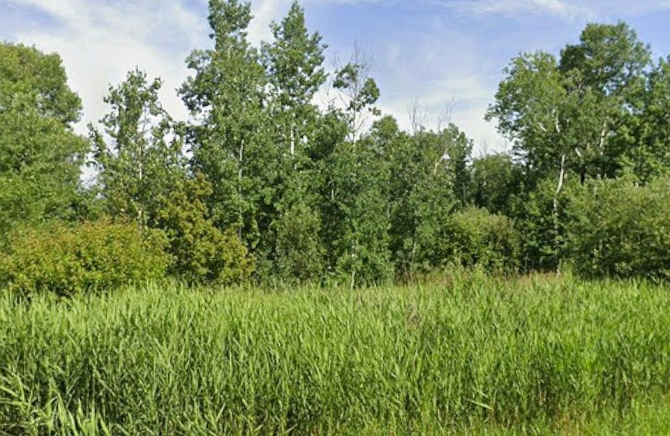 2nd image of Mallard Rd