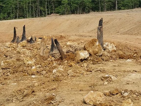 5th image of Kolb Hollow Rd